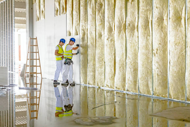 Best Geographic-Specific Insulation Services in Nowata, OK